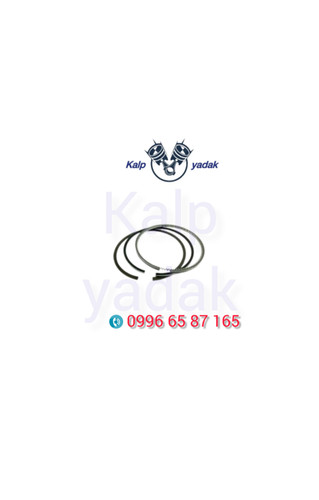 رینگ موتور swm اس دبلیو ام g01