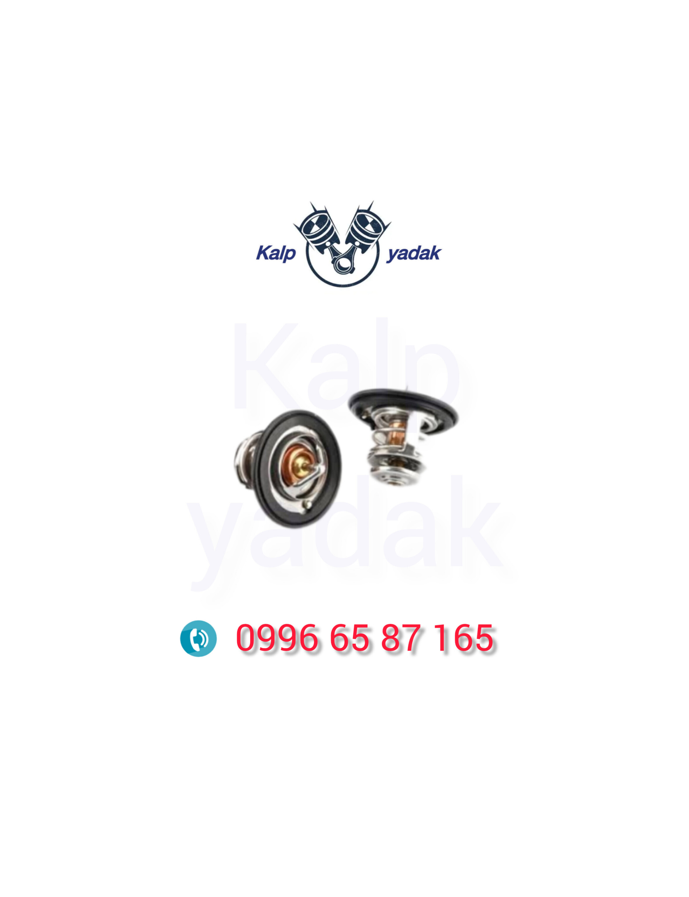 ترموستات swm اس دبلیو ام g01