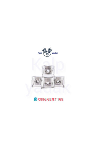 پیستون سایز 0/25 دوو سیلو ریسر دونگ یانگ کره