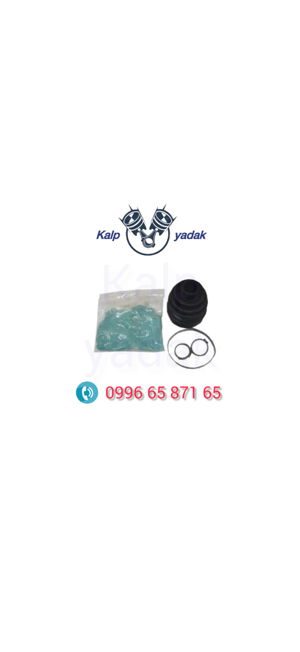 گردگیر پلوس سانگ یانگ تیوولی TIVOLI اصلی