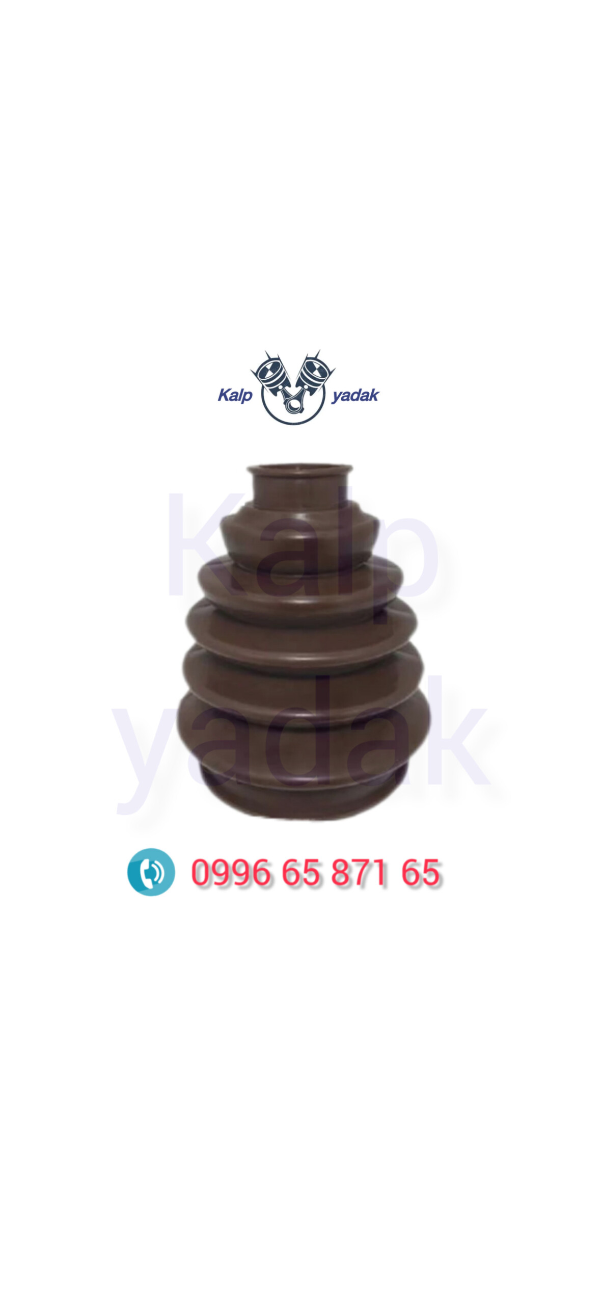 گردگیر پلوس سانگ یانگ تیوولی TIVOLI اصلی
