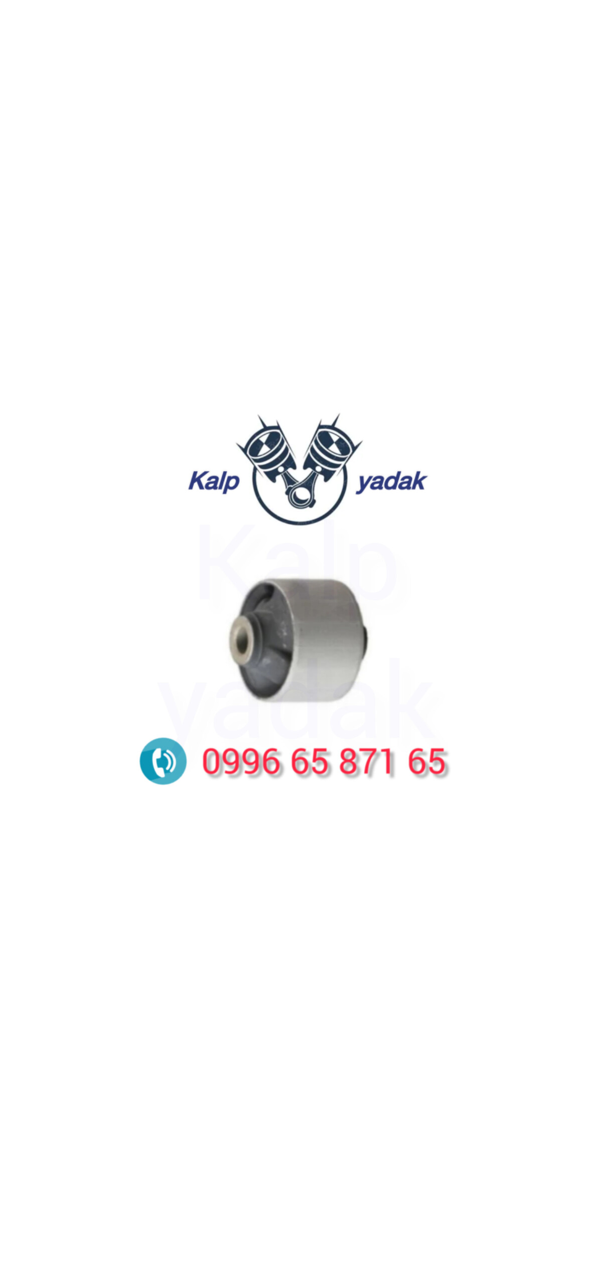 بوش طبق بزرگ سانگ یانگ تیوولی TIVOLI‌
